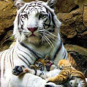 Meet your Posher, Bryan